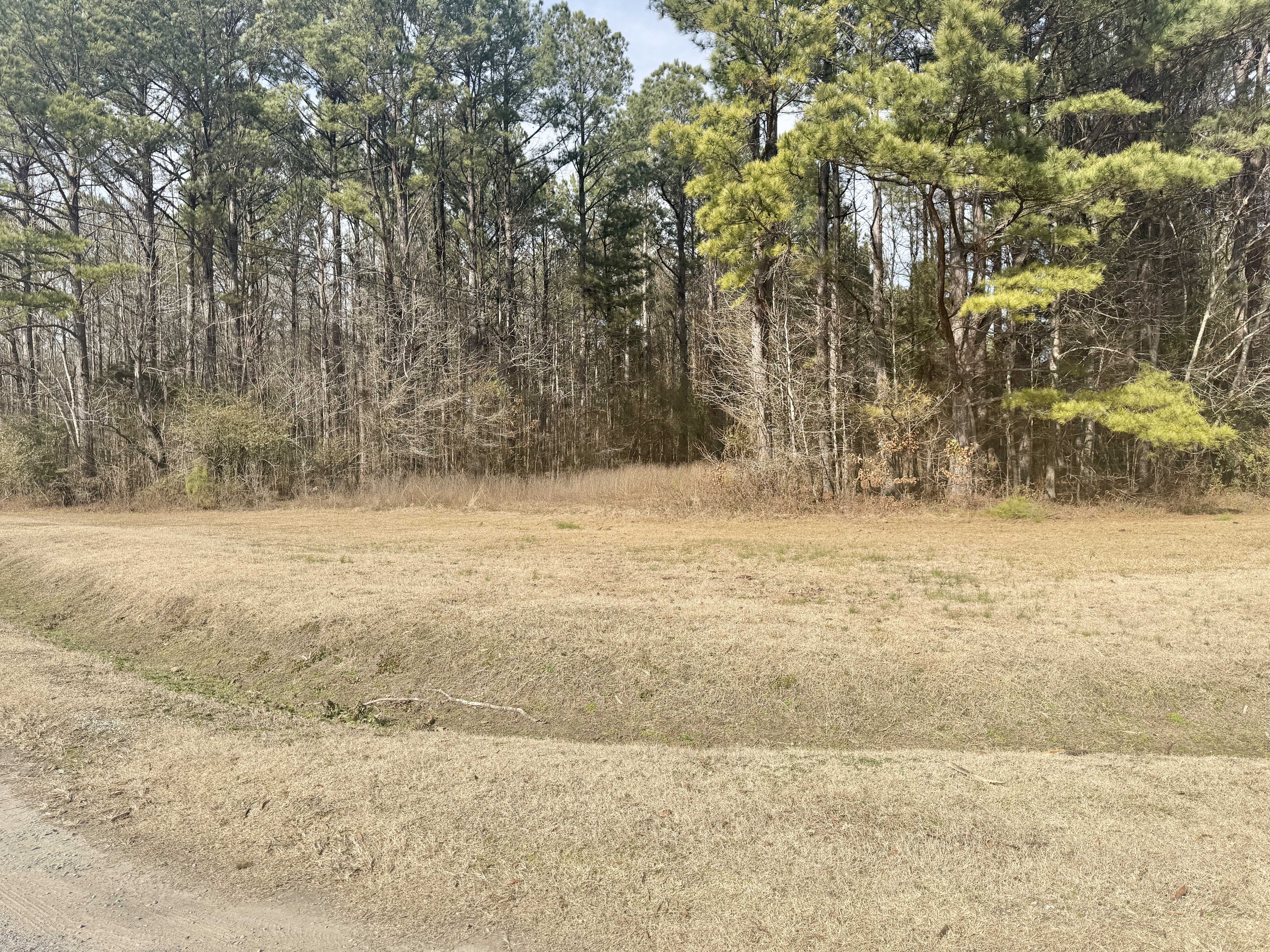 50002 Sunset Point Drive, Amory, MS, USA, 38821 - Thumbnail 3