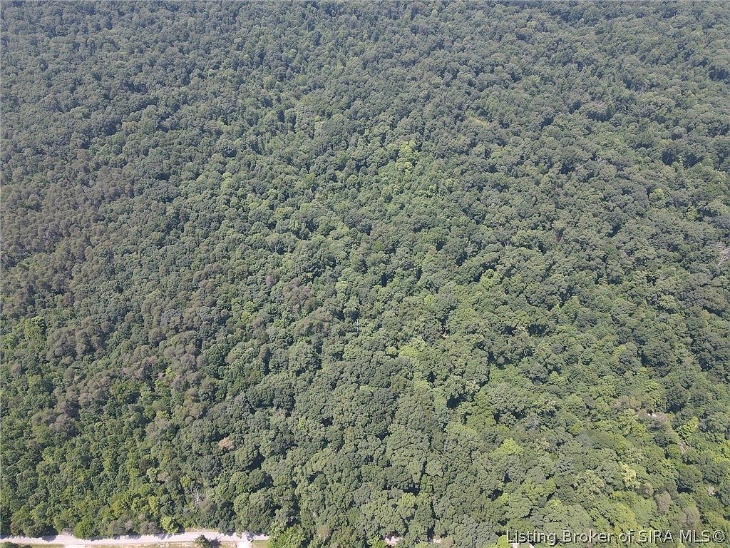 0 Forestry Rd Henryville, IN 47126 - Thumbnail 3