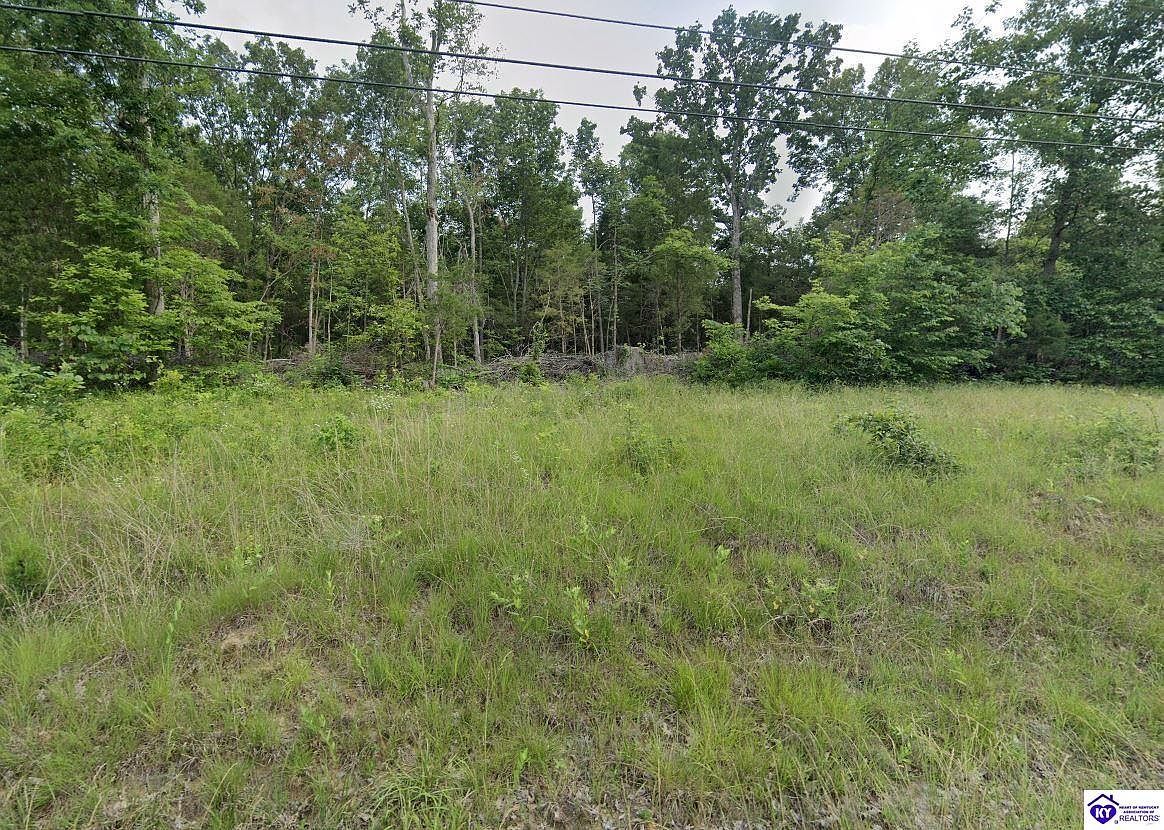 0 Blue Bird Rd Falls Of Rough, KY 40119 - Thumbnail 3