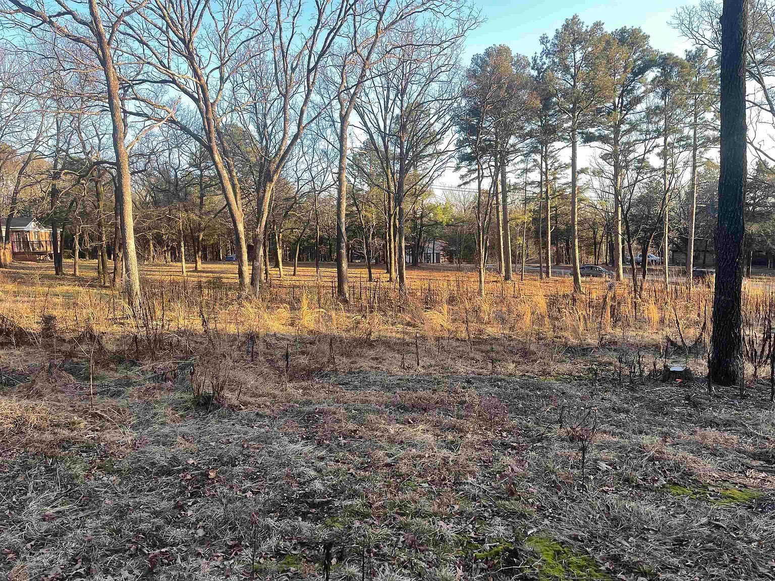 257 Cagle Rock Cir LOT 73 Russellville, AR 72802 - Thumbnail 3