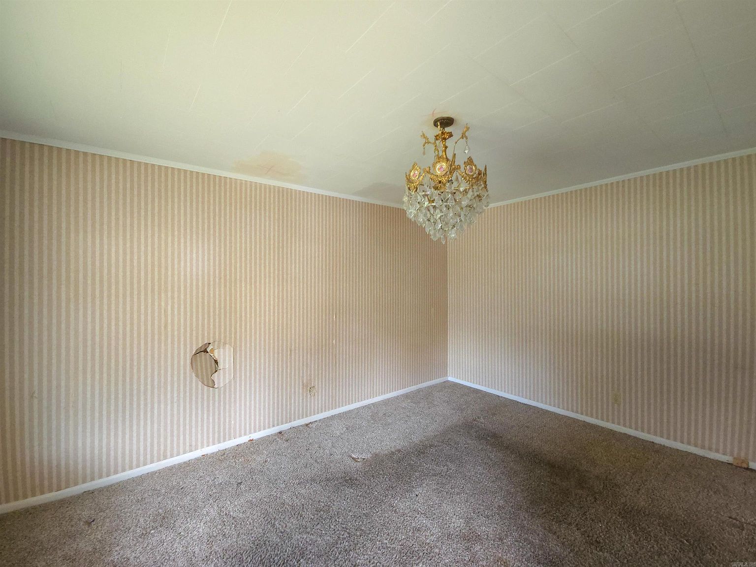 205 S 13th Ave Paragould, AR 72450 - Thumbnail 3