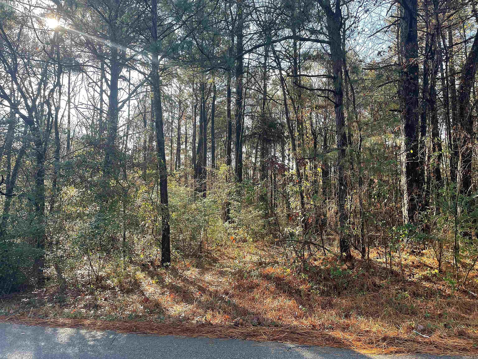 (undisclosed Address) Little Rock, AR 72206 - Thumbnail 3