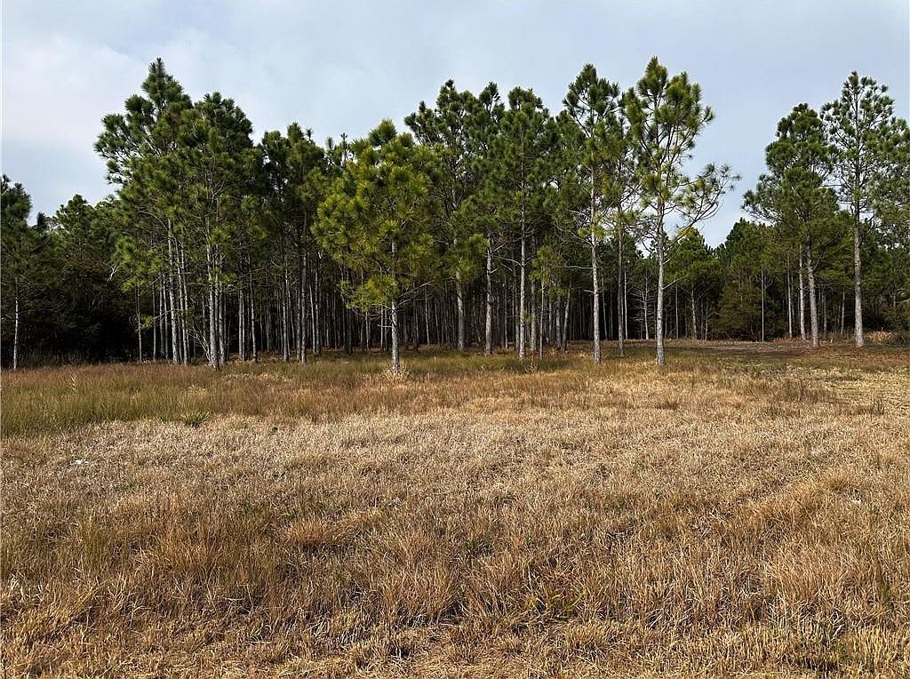 0 Shell Belt Rd S Coden, AL 36523 - Thumbnail 3