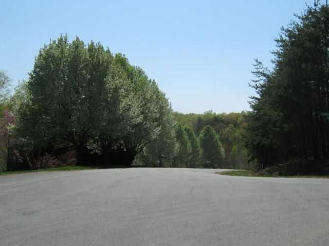 Lot 86 Winding Waters Drive, Moneta, VA, 24121 - Thumbnail 3