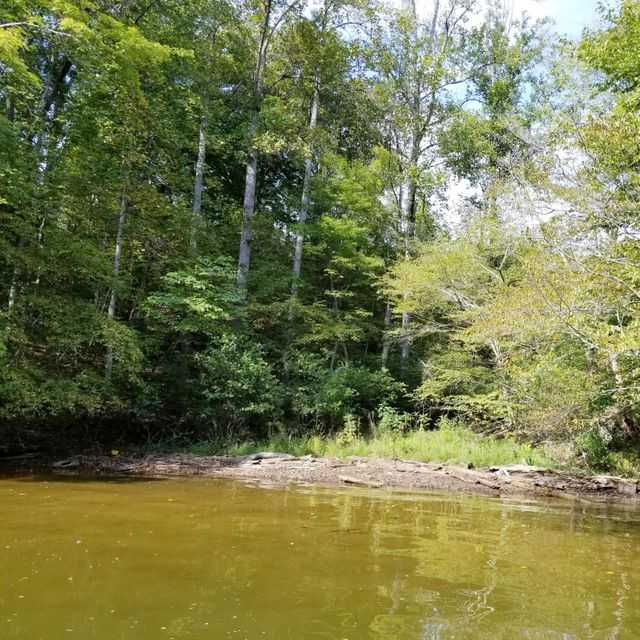 Lot 22 Water Edge Pointe - Thumbnail 3