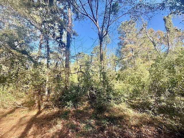 53546 County Road 87 Jasper, TX 75951 - Thumbnail 3