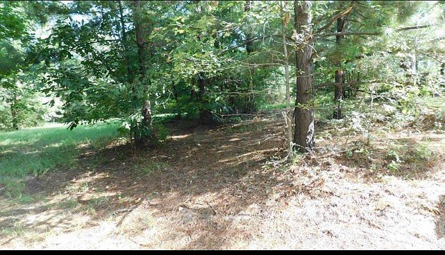 509 Eagle Estates Cir Hemphill, TX 75948 - Thumbnail 3