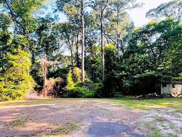 123 Davy Crockett Ct Hemphill, TX 75948 - Thumbnail 3