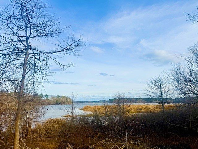 407 Tejas Dr W Hemphill, TX 75948 - Thumbnail 3