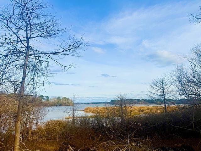 417 Tejas Dr W Hemphill, TX 75948 - Thumbnail 3