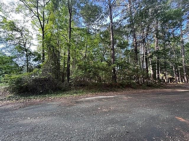 742 Bowline Dr Hemphill, TX 75948 - Thumbnail 3