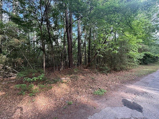 894 Bowline Dr Hemphill, TX 75948 - Thumbnail 3