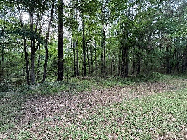 879 Admiral Dr Hemphill, TX 75948 - Thumbnail 3