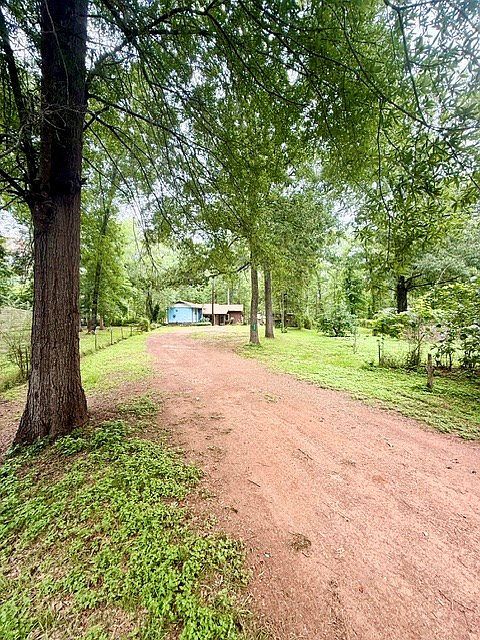 245 Forest Gln Hemphill, TX 75948 - Thumbnail 3
