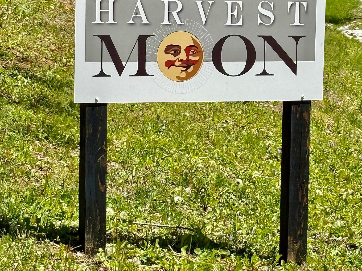 4209 E County Road 50 S Fillmore, IN 46128 - Thumbnail 3