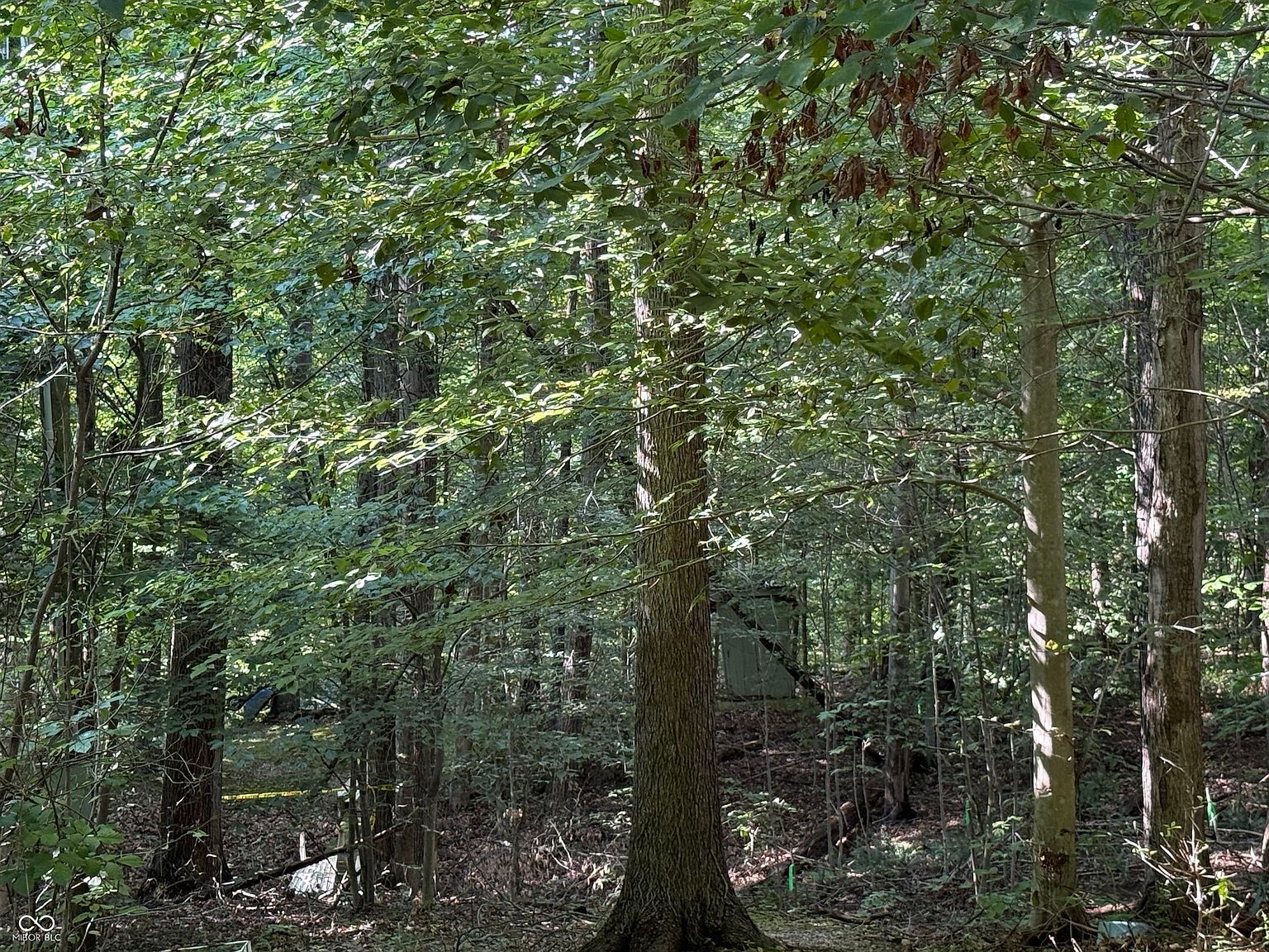 8401 Buffalo Rd Poland, IN 47868 - Thumbnail 3