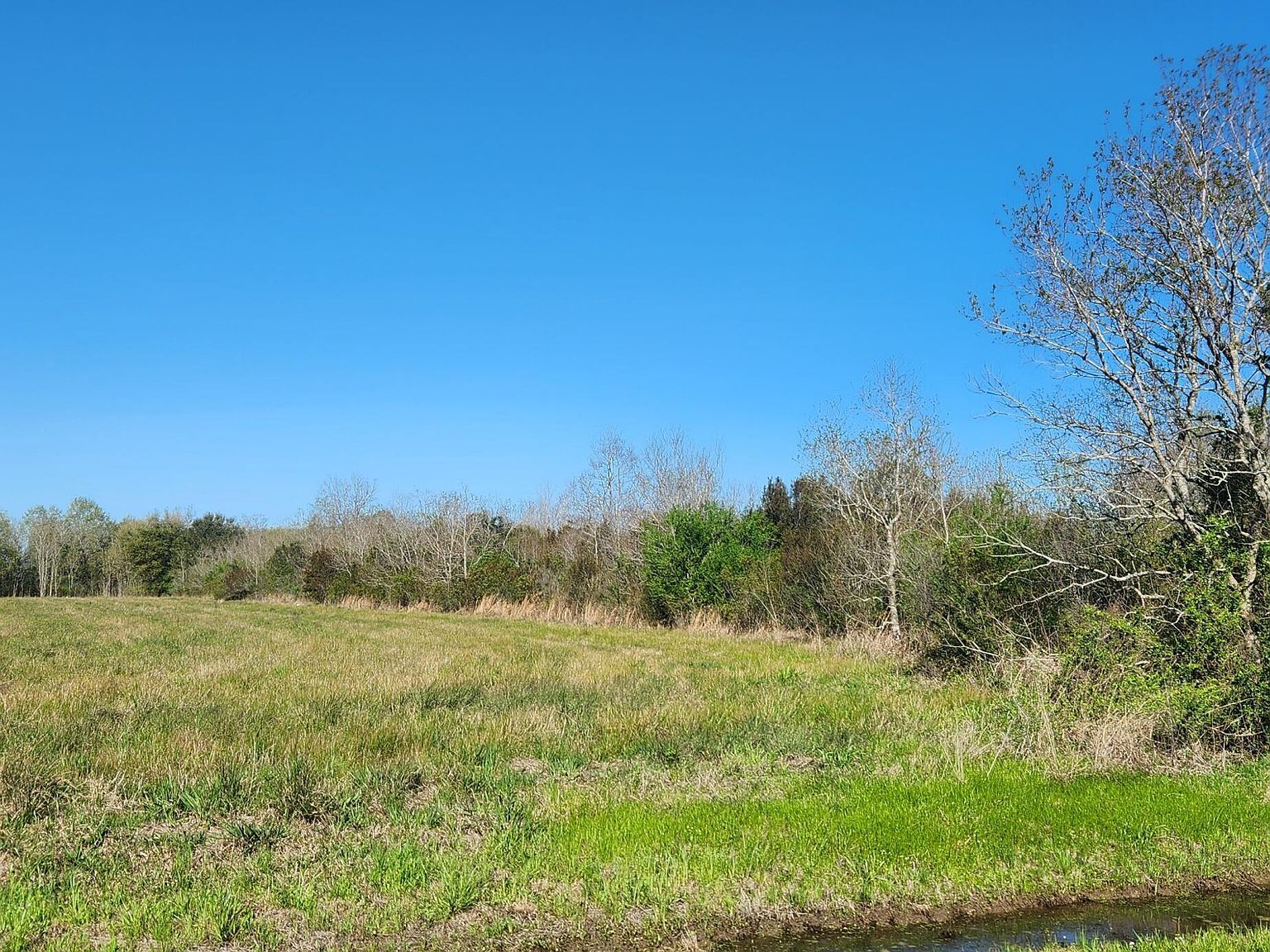 4600 Arnold Rd Gueydan, LA 70542 - Thumbnail 3