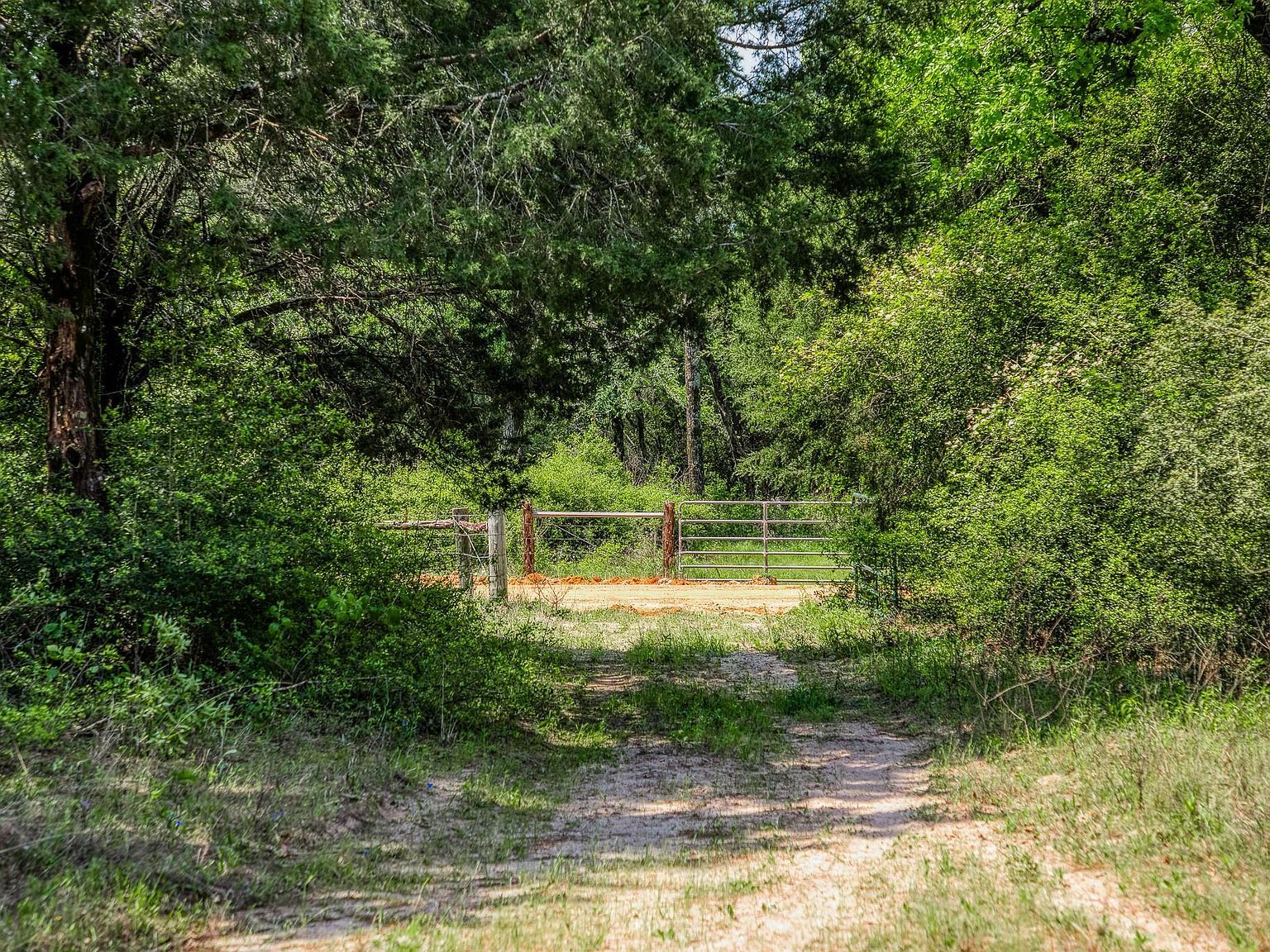 7266 County Road 449 Marquez, TX 77865 - Thumbnail 3