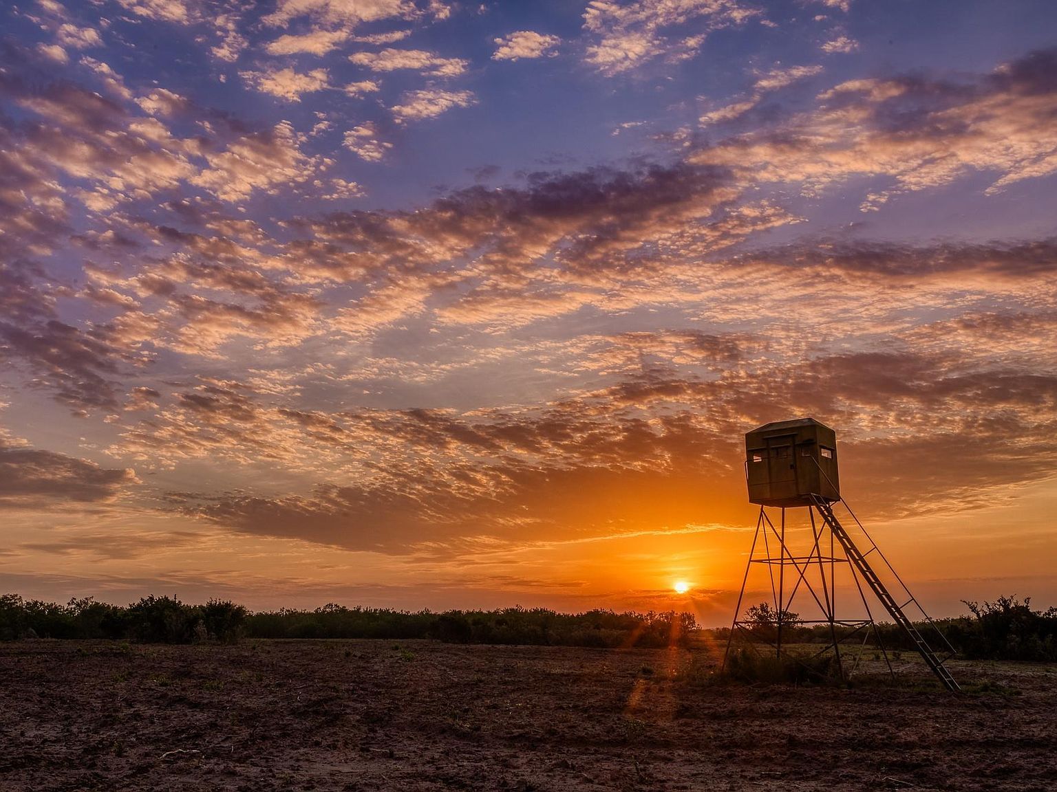 5172 County Road 321 Freer, TX 78357 - Thumbnail 3