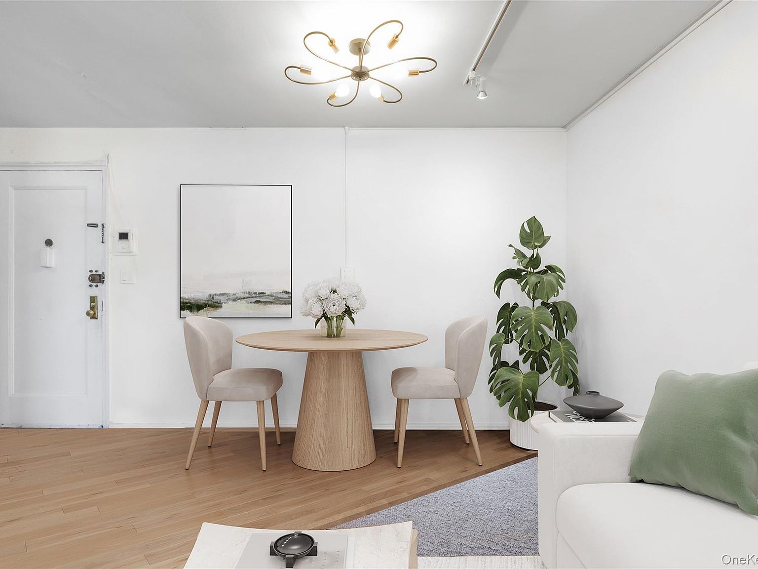 46 Terrace Cir APT 3F Great Neck, NY 11021 - Thumbnail 3