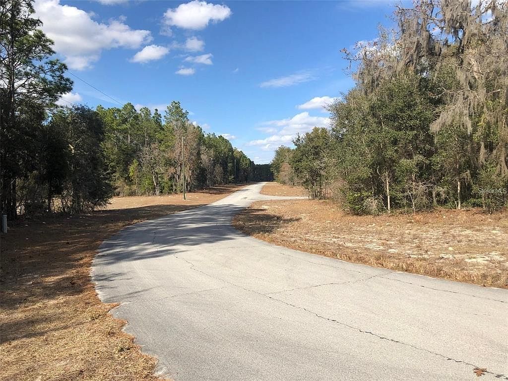 SW 89th Cir LOT 19 Ocala, FL 34473 - Thumbnail 3
