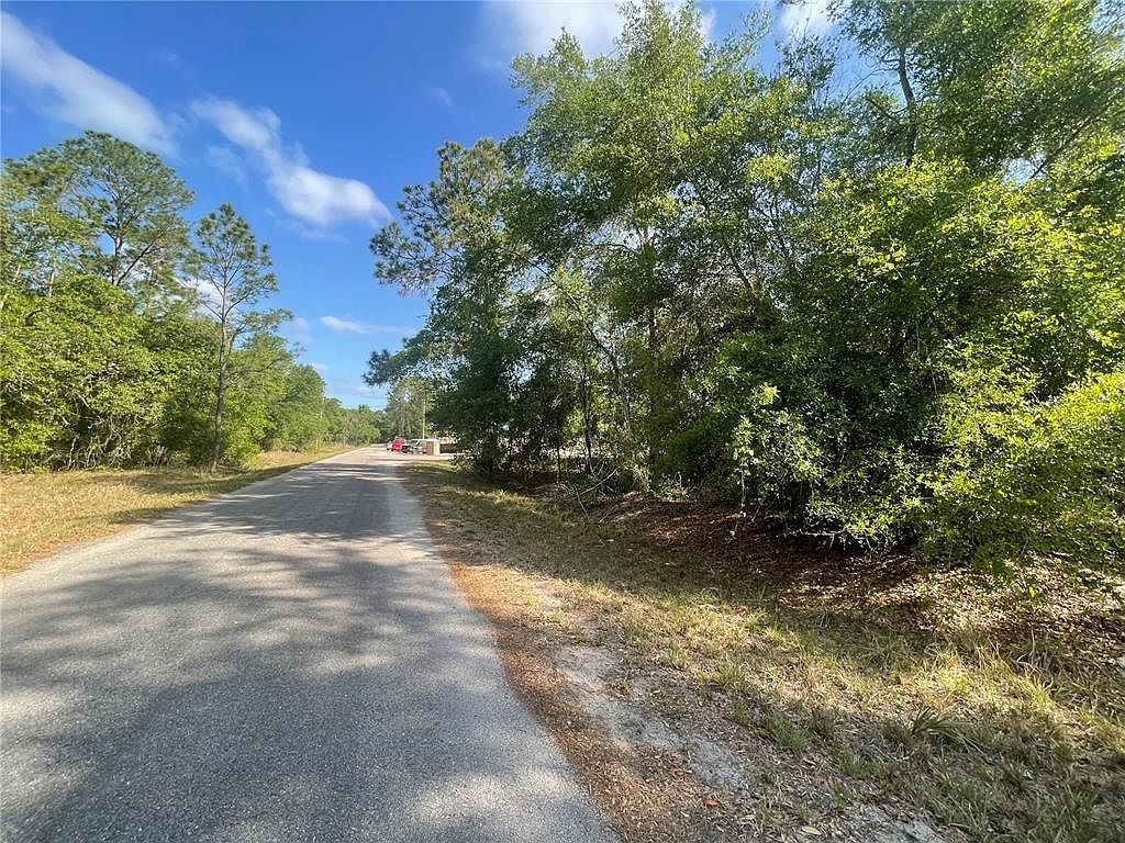 Sequoia Dr LOT 16 Ocklawaha, FL 32179 - Thumbnail 3