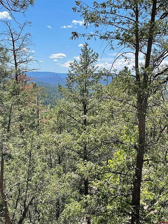 Xx West Hwy #160 Pagosa Springs, CO 81147 - Thumbnail 3