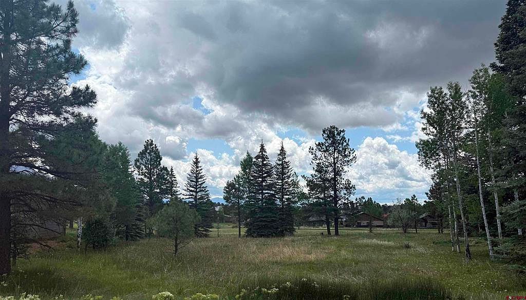 201 Pines Club Pl Pagosa Springs, CO 81147 - Thumbnail 3