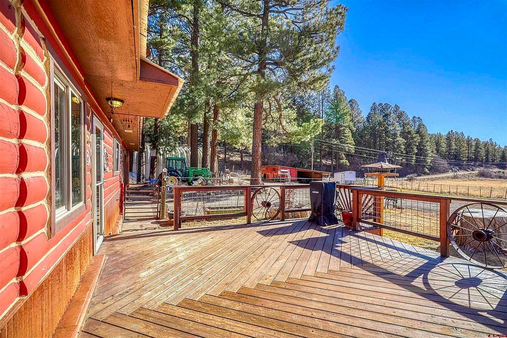 933A County Road 175 Pagosa Springs, CO 81147 - Thumbnail 3