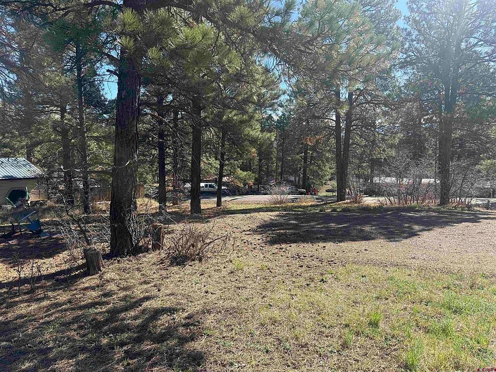 19 Bienvenido Cir Pagosa Springs, CO 81147 - Thumbnail 3