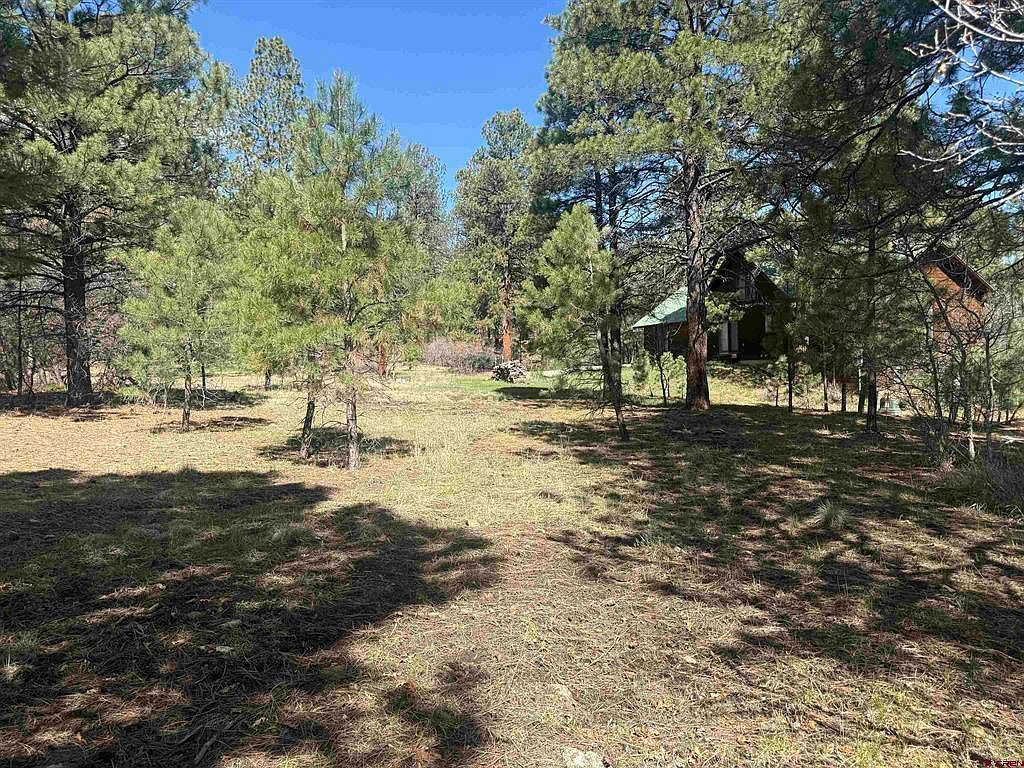 33 Granite Ct Pagosa Springs, CO 81147 - Thumbnail 3