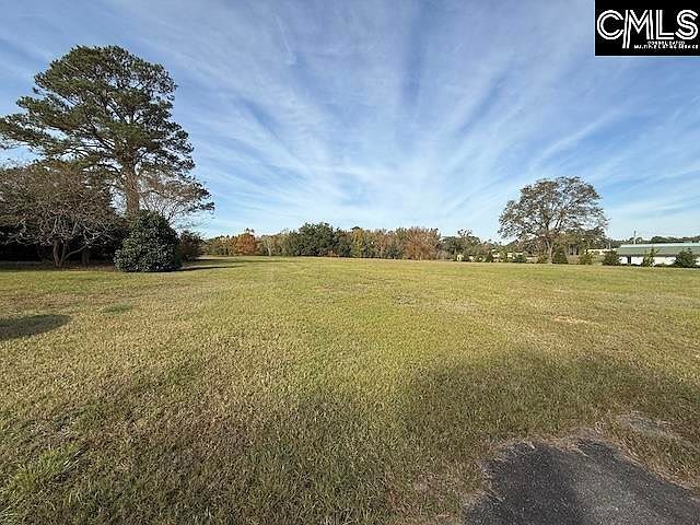 3604 Columbia Rd LOT B-D Orangeburg, SC 29118 - Thumbnail 3