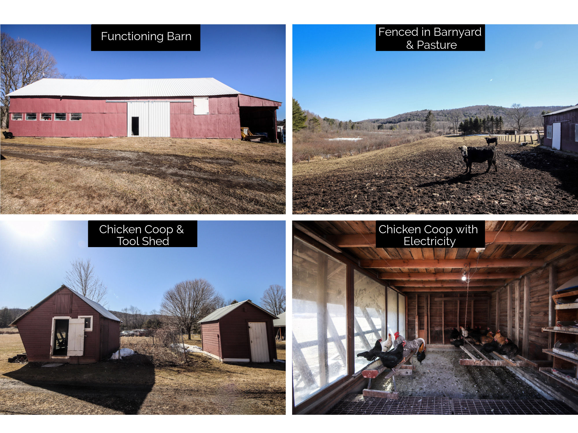 6379 State Highway 28, Fly Creek, NY, USA, 13337 - Thumbnail 4