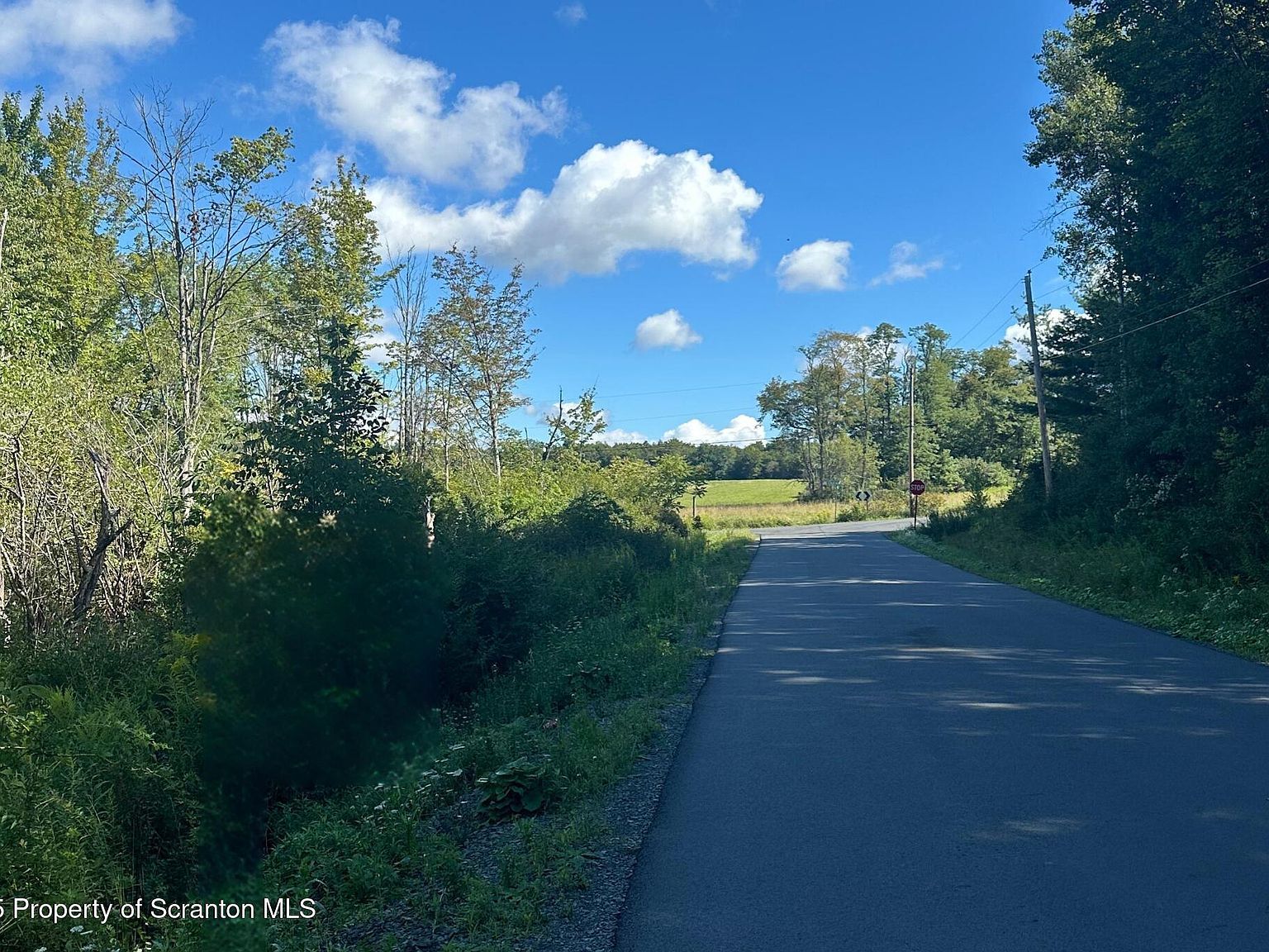 Sullivan Rd Dalton, PA 18414 - Thumbnail 3