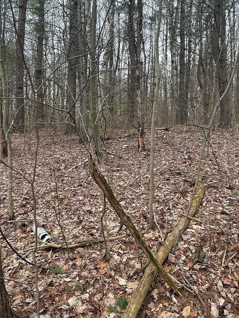 0 Birch Hill Rd Lawrenceville, PA 16929 | Land/Lot