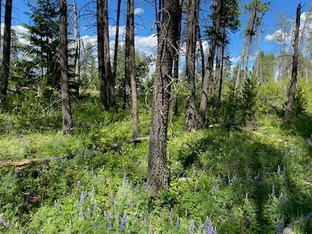 Xx W Montgomery Rd LOT C Deer Park, WA 99006 - Thumbnail 3