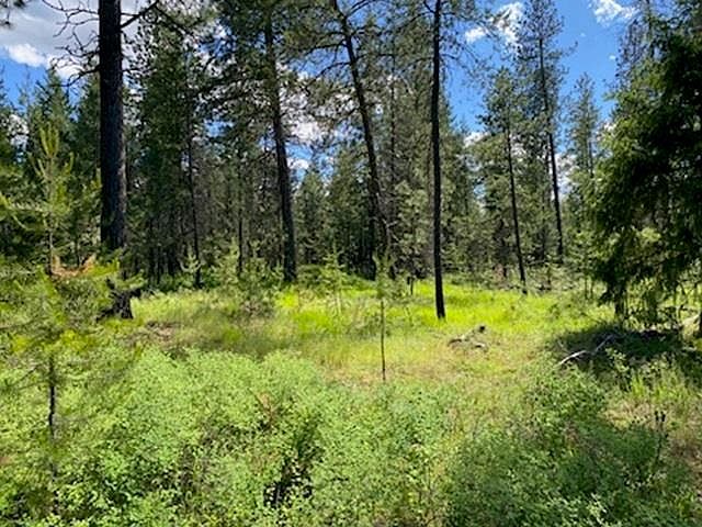 Xx W Montgomery Rd LOT A Deer Park, WA 99006 - Thumbnail 3