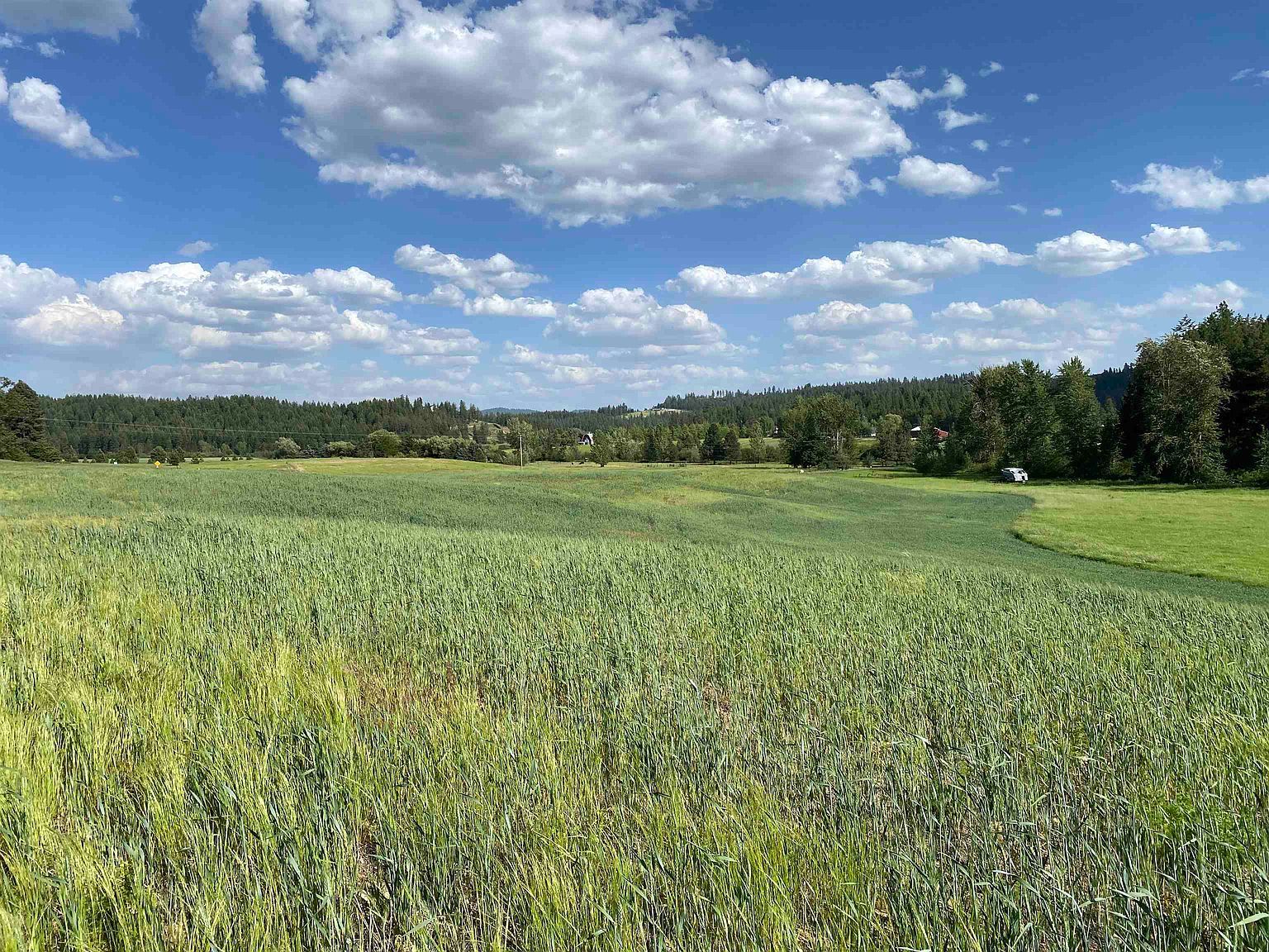 8818 E Little Deep Creek Rd Colbert, WA 99005 - Thumbnail 3