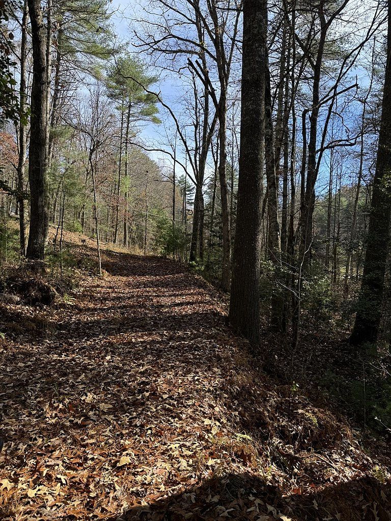 0 Rockridge Rd Murphy, NC 28906 - Thumbnail 3