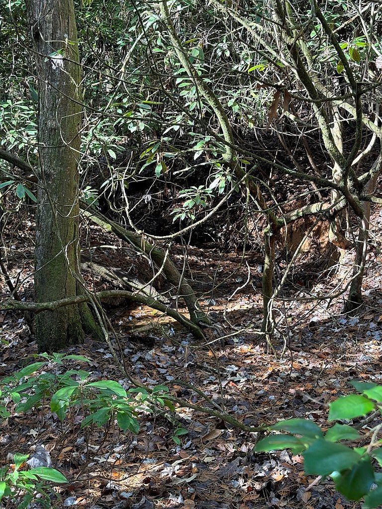 0 Rock Ridge Rd Murphy, NC 28906 - Thumbnail 3