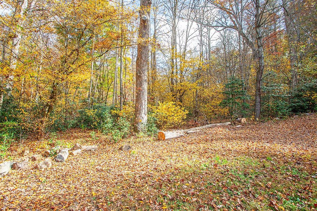 1490 Wells Rd Marble, NC 28905 - Thumbnail 3