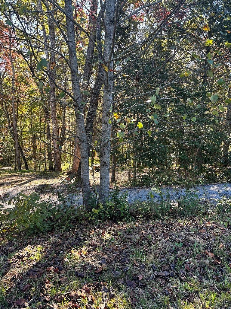 78 Vinings Pointe Hayesville, NC 28904 - Thumbnail 3