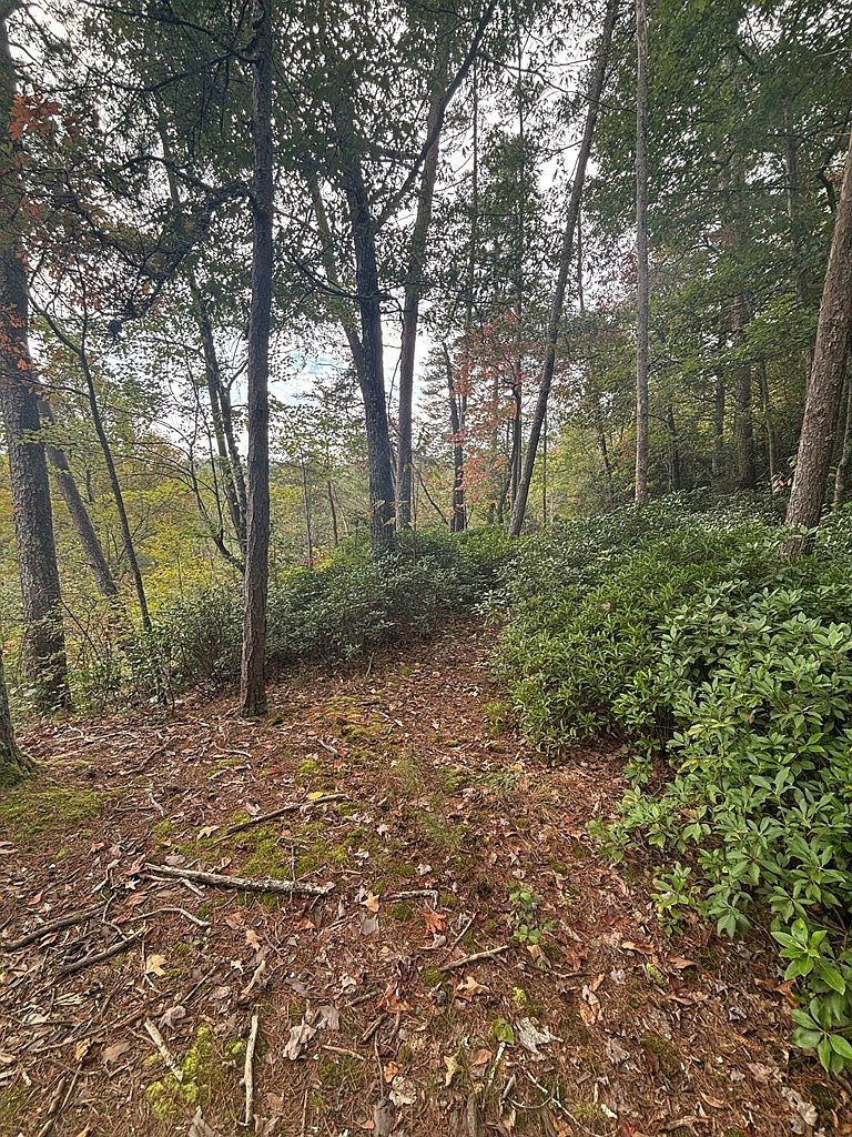 0 Beaver Ridge Rd Murphy, NC 28906 - Thumbnail 3