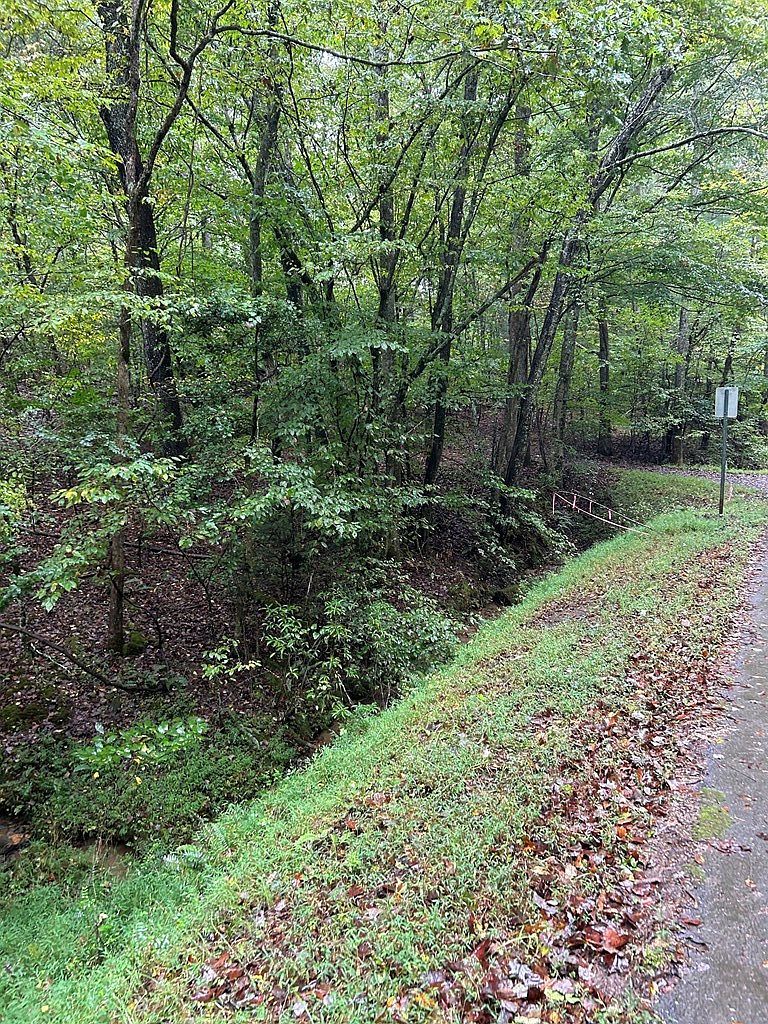 0 Johnsonville Rd Murphy, NC 28906 - Thumbnail 3