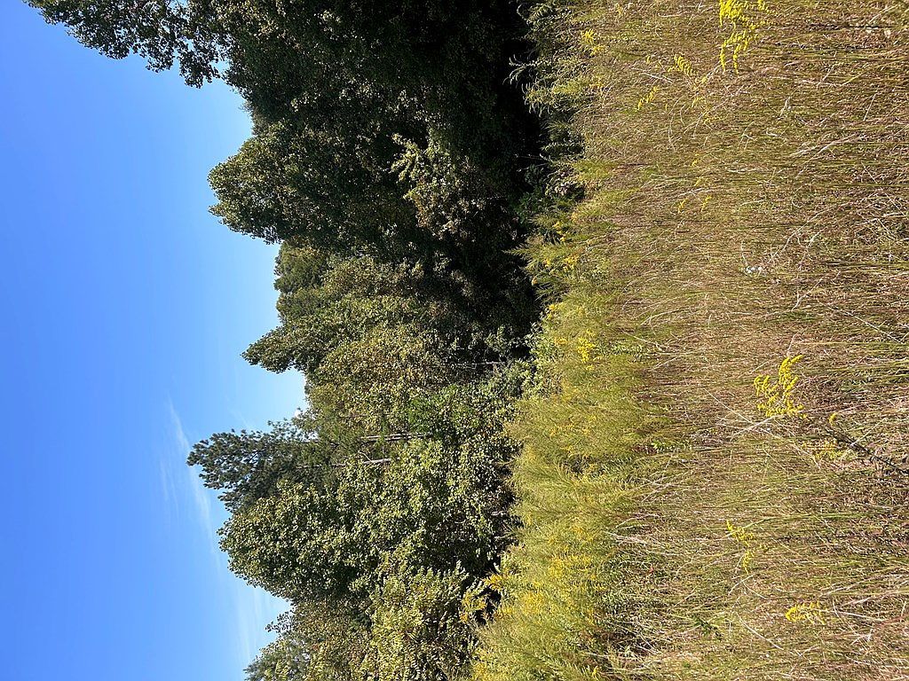 24 My Easy St Murphy, NC 28906 - Thumbnail 3