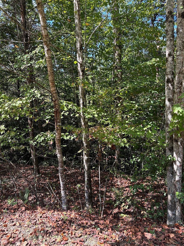 0 Hy Cobb Dr Murphy, NC 28906 - Thumbnail 3