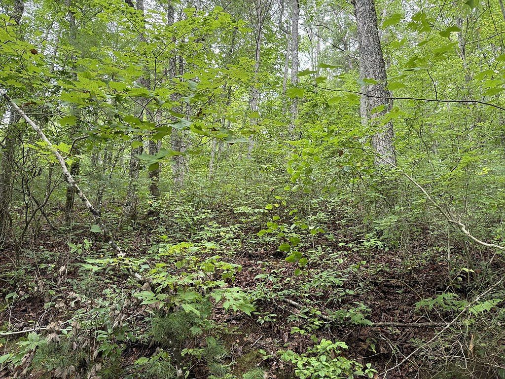 0 Owl Creek Rd Murphy, NC 28906 - Thumbnail 3