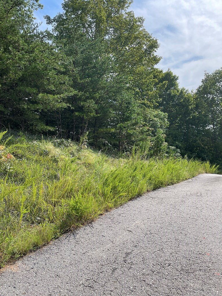 380 Sterling Point Murphy, NC 28906 - Thumbnail 3