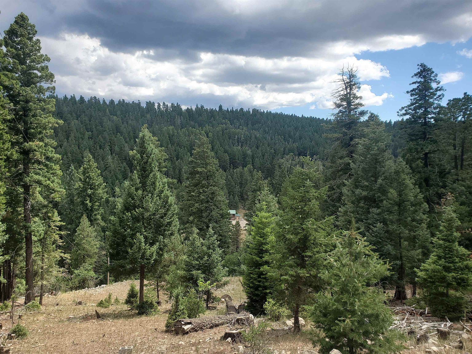 32 Spruce Trl Cloudcroft, NM 88317 - Thumbnail 3