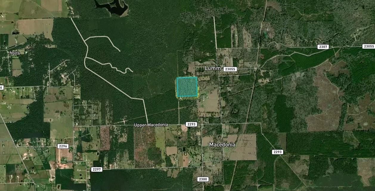 344 County Road 2294 Cleveland, TX 77327 - Thumbnail 3